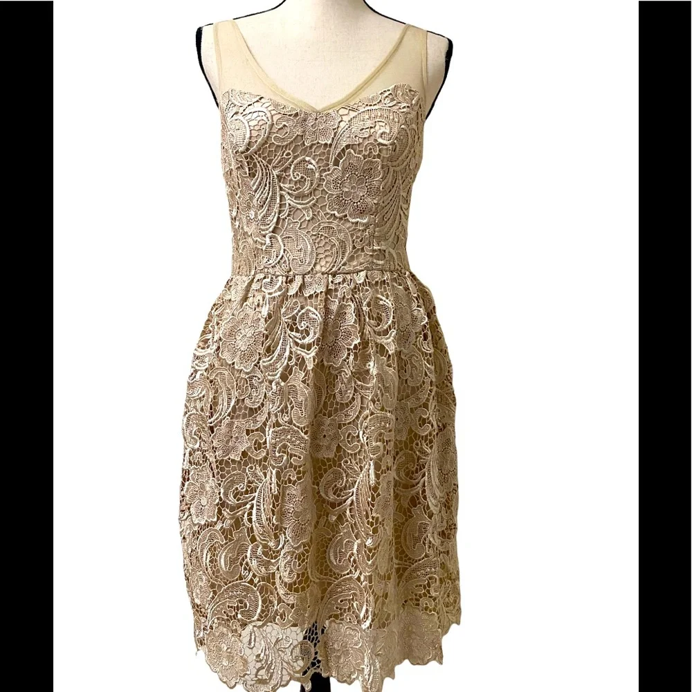 ADRIANNA PAPELL Lace Illusion Midi Size 4 - Picture 1 of 15